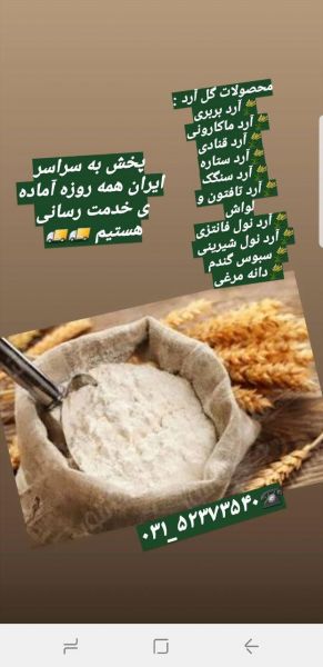 تبلیغات