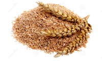 Wheat Bran